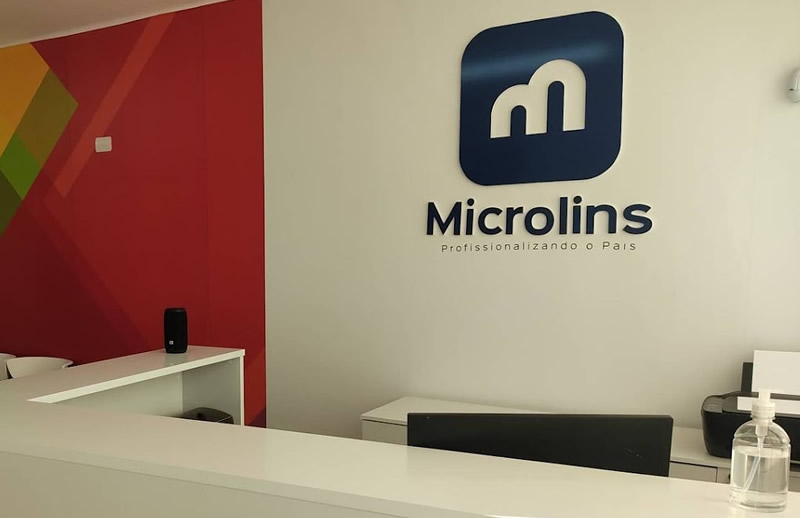 Microlins